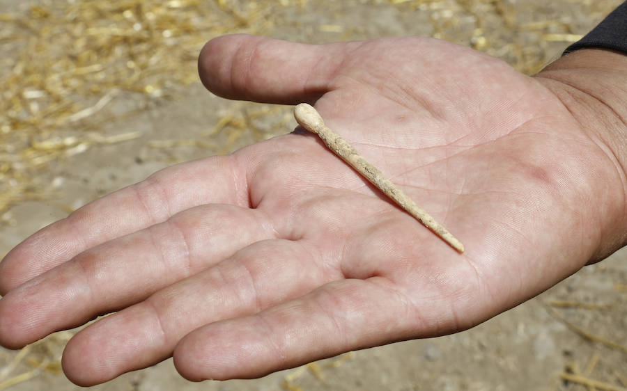 Fotos: Paredes descubre su pasado en Intercatia