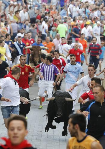 Los toros serán los protagonistas en Peñafiel durante los próximos días. 