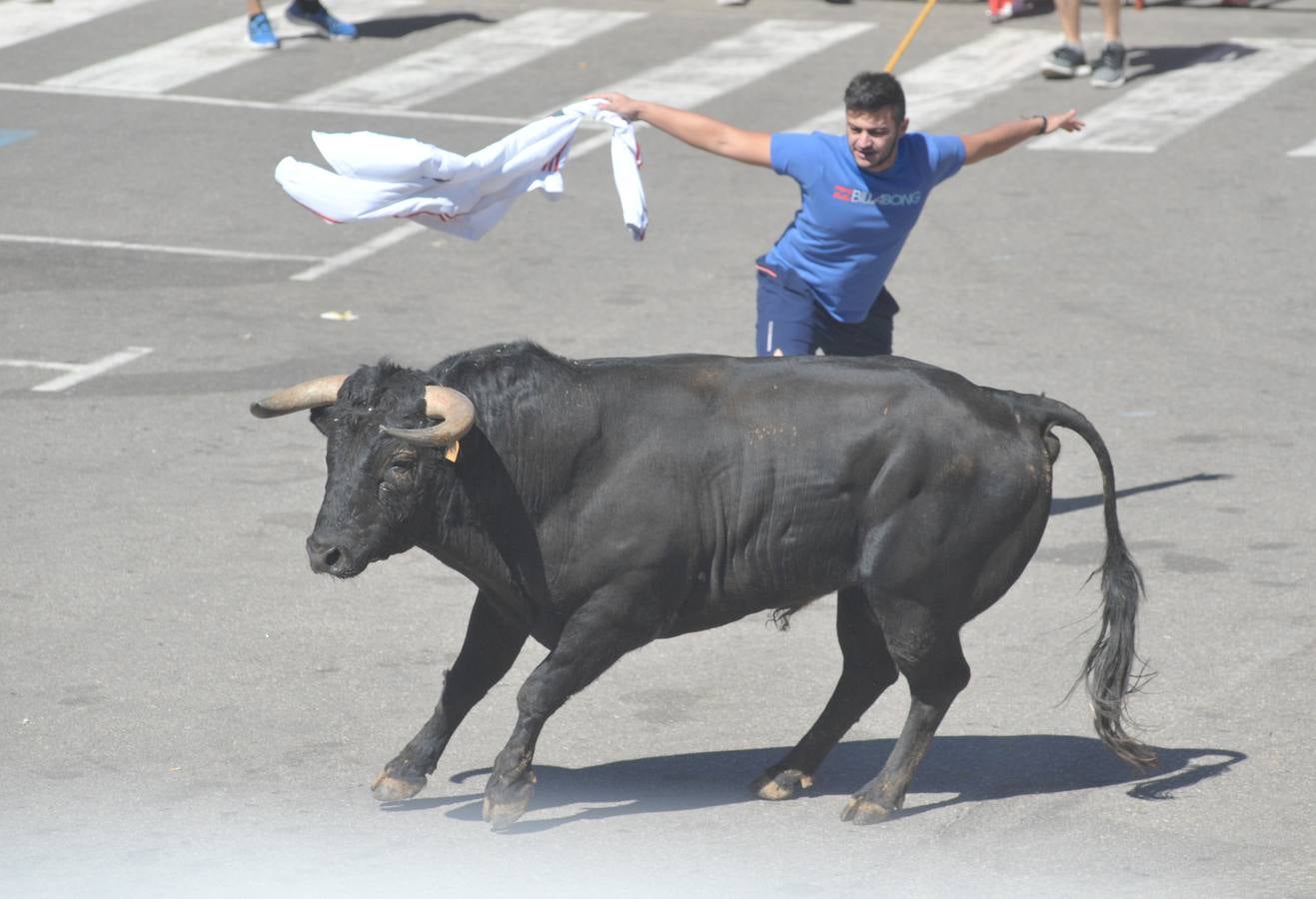 Fotos: Encierro en Rueda