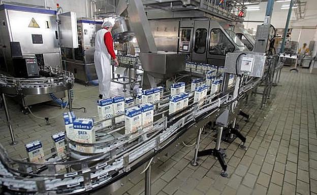 Cadena de envasado de la empresa Gaza.