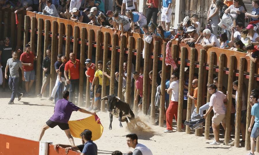 Fotos: Primer encierro en Peñafiel