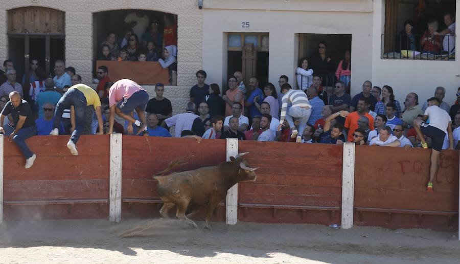Fotos: Primer encierro en Peñafiel