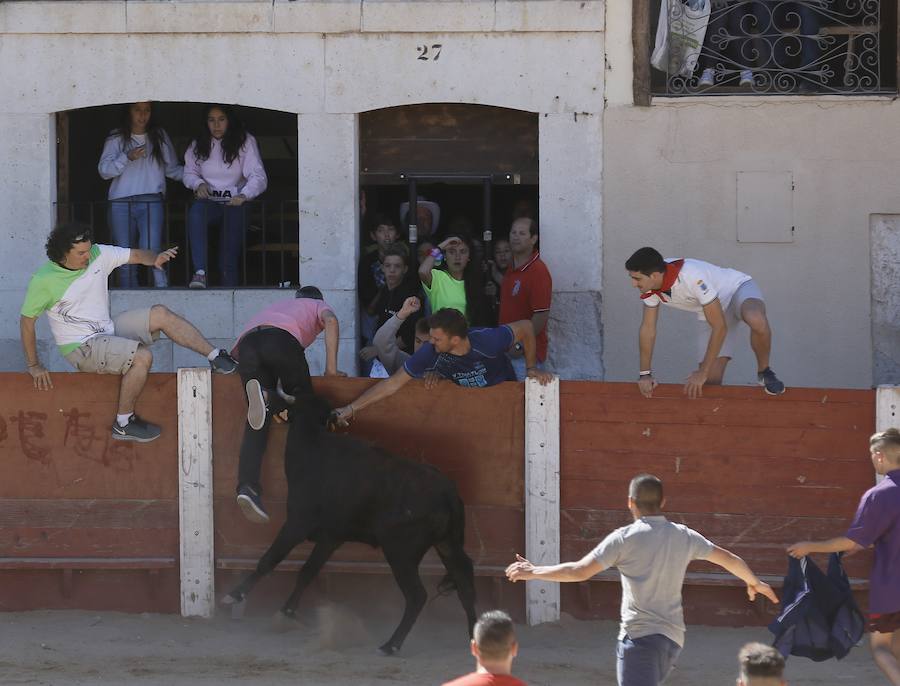 Fotos: Primer encierro en Peñafiel