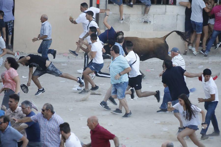 El primer novillo de la suelta ha saltado desde el redondel al exterior y ha sembrado el caos entre los congregados para ver el espectáculo taurino. Finalmente no se han registrado heridos