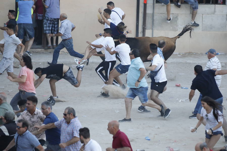 El primer novillo de la suelta ha saltado desde el redondel al exterior y ha sembrado el caos entre los congregados para ver el espectáculo taurino. Finalmente no se han registrado heridos