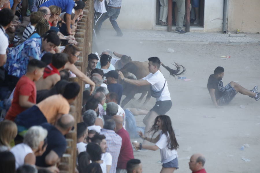 El primer novillo de la suelta ha saltado desde el redondel al exterior y ha sembrado el caos entre los congregados para ver el espectáculo taurino. Finalmente no se han registrado heridos