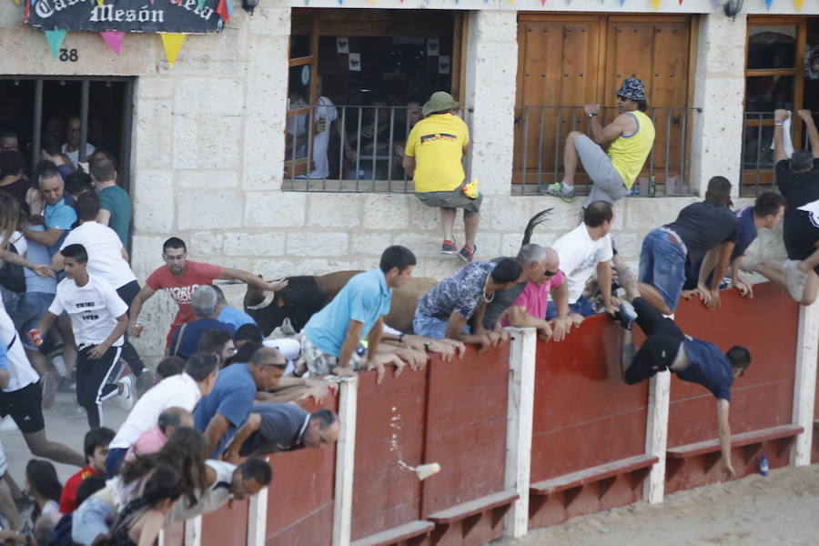 El primer novillo de la suelta ha saltado desde el redondel al exterior y ha sembrado el caos entre los congregados para ver el espectáculo taurino. Finalmente no se han registrado heridos