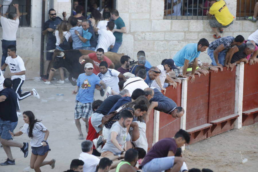 El primer novillo de la suelta ha saltado desde el redondel al exterior y ha sembrado el caos entre los congregados para ver el espectáculo taurino. Finalmente no se han registrado heridos