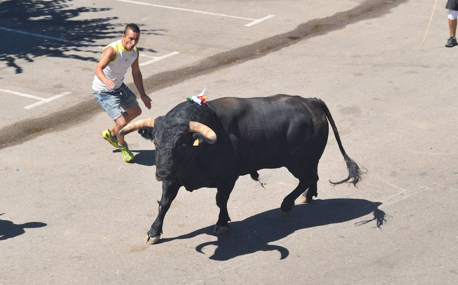 La localidad celebra sus fiestas y hoy, 15 de agosto difruta de tres encierros por las calles del municipio.