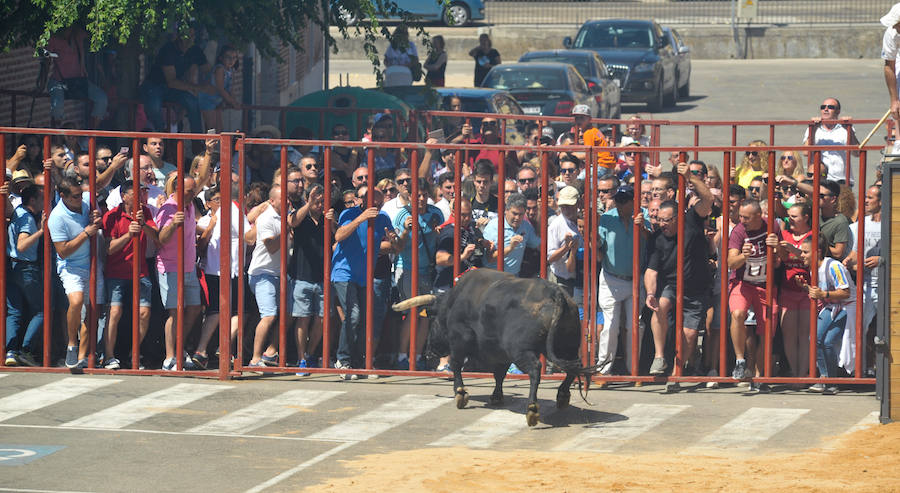 La localidad celebra sus fiestas y hoy, 15 de agosto difruta de tres encierros por las calles del municipio.