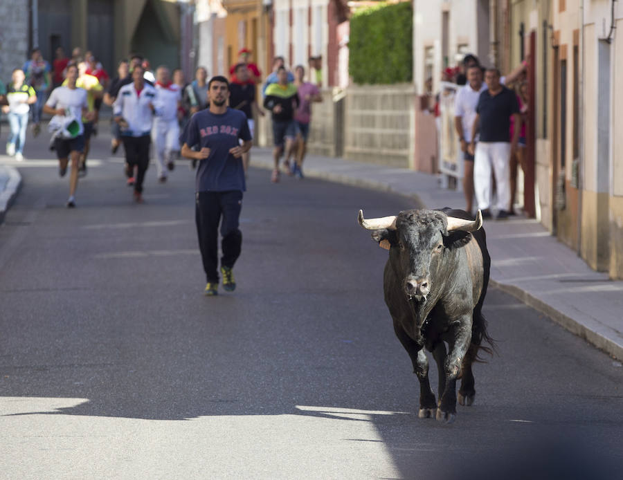 Se ha celebrado a las 9.30 y ha dejado un herido por asta de toro. Un varón de unos 40 años ha sufrido dos cornadas y se ha golpeado la cabeza. El Toro del Alba es uno de los festejos más concurridos de este 15 de agosto en la localidad.