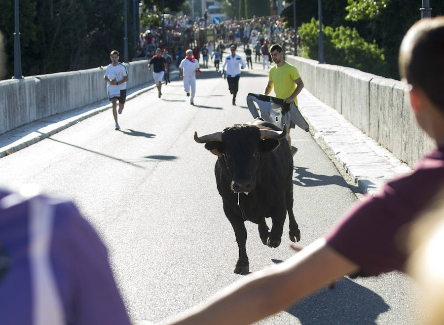 Se ha celebrado a las 9.30 y ha dejado un herido por asta de toro. Un varón de unos 40 años ha sufrido dos cornadas y se ha golpeado la cabeza. El Toro del Alba es uno de los festejos más concurridos de este 15 de agosto en la localidad.
