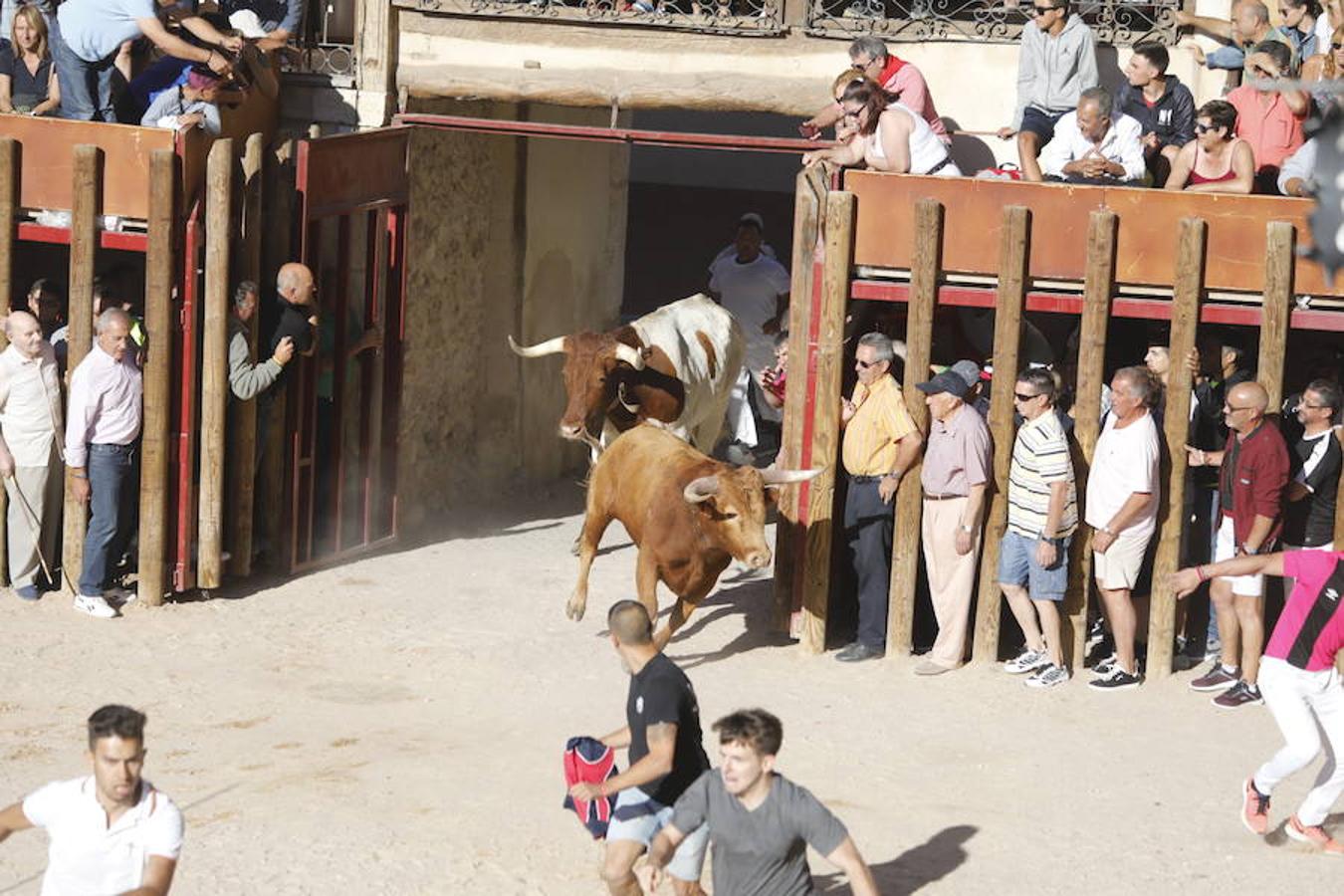 Fotos: Primer encierro en Peñafiel