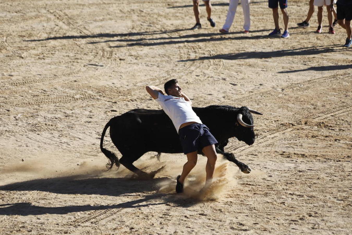 Fotos: Capea en la Plaza del Coso de Peñafiel