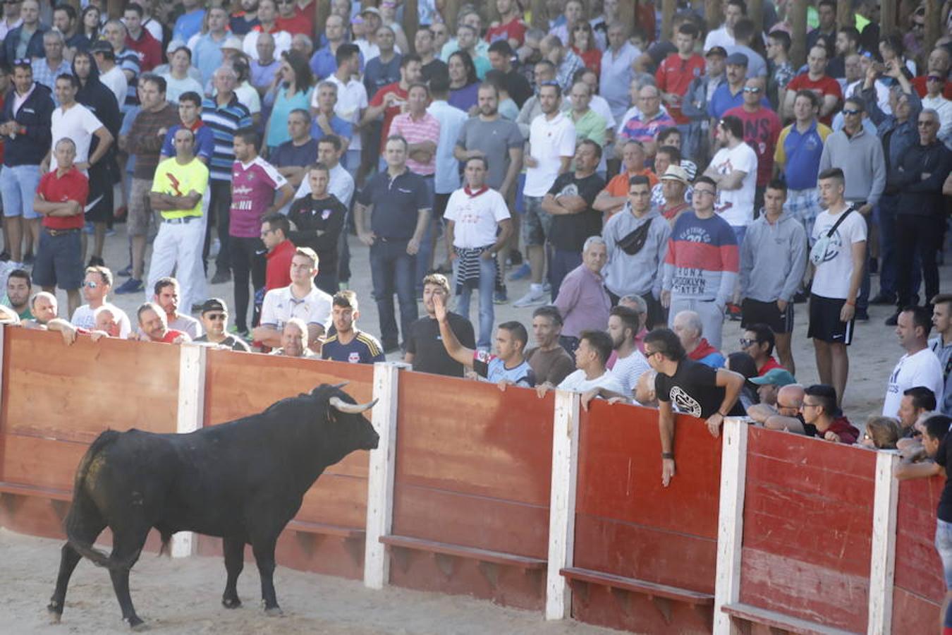 Fotos: Capea en la Plaza del Coso de Peñafiel