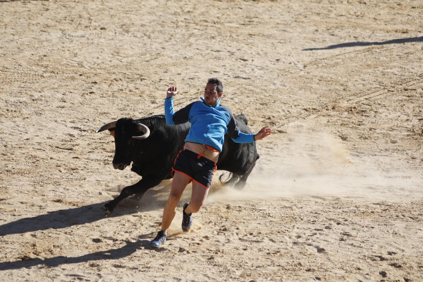 Fotos: Capea en la Plaza del Coso de Peñafiel