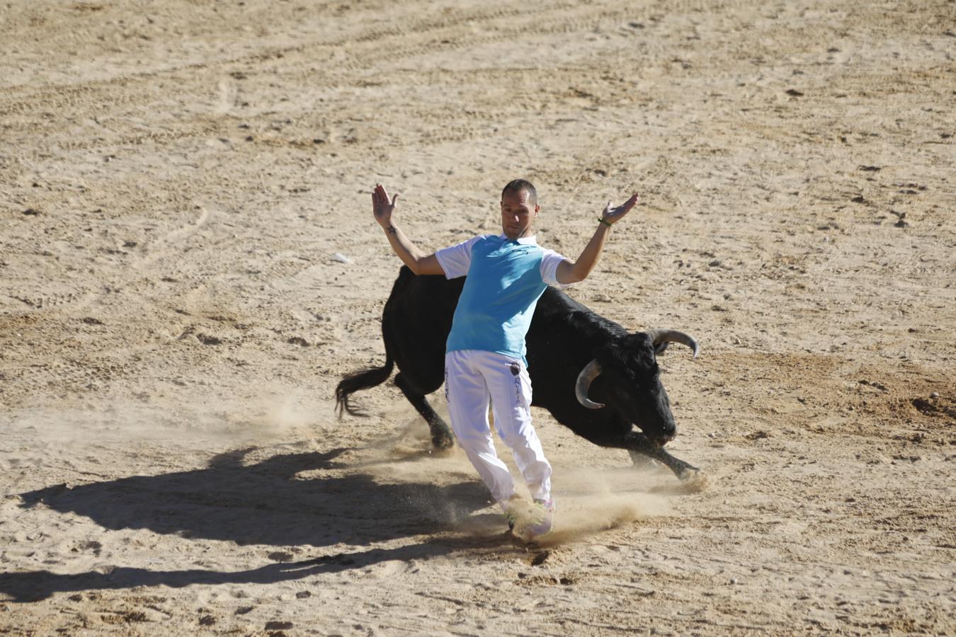 Fotos: Capea en la Plaza del Coso de Peñafiel