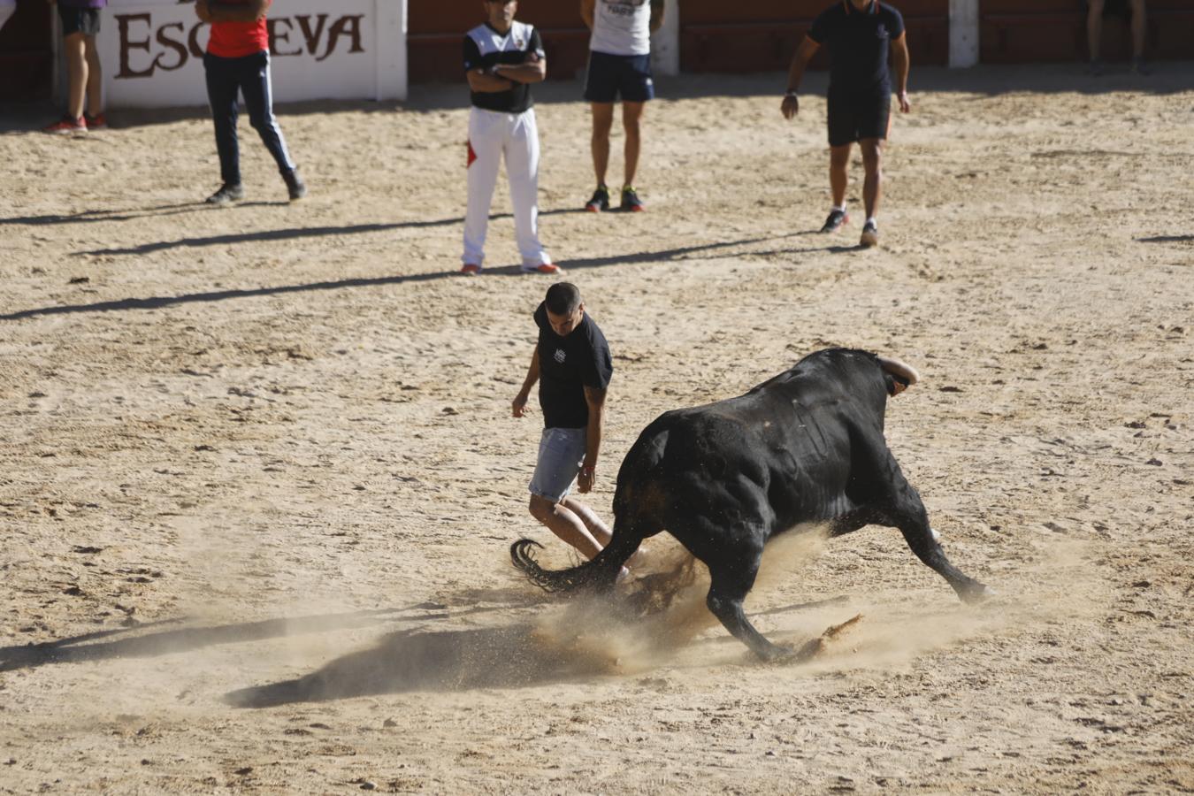 Fotos: Capea en la Plaza del Coso de Peñafiel