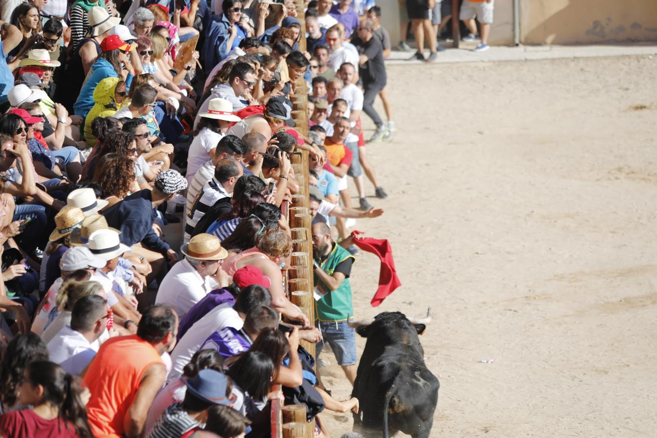 Fotos: Capea en la Plaza del Coso de Peñafiel