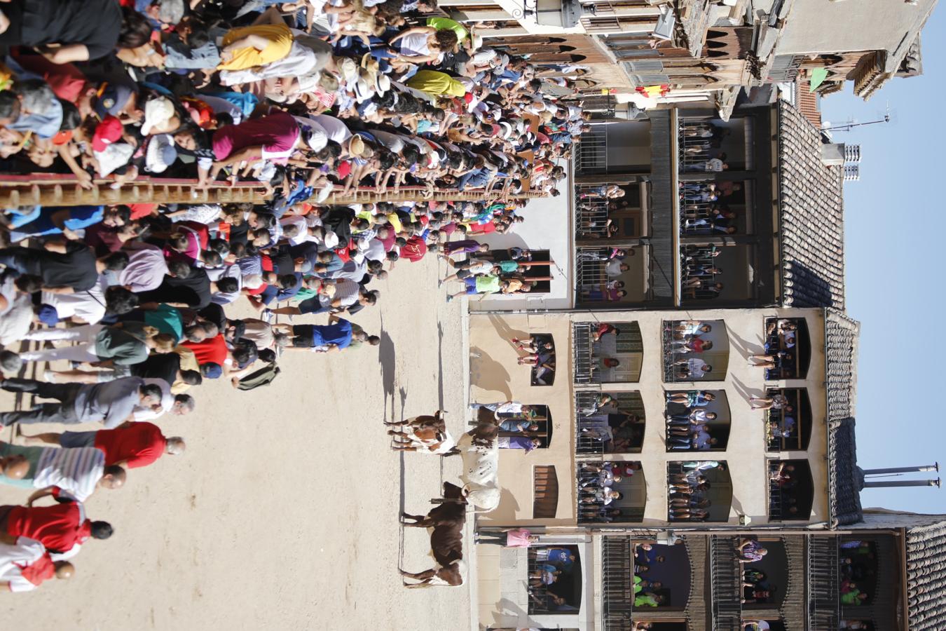 Fotos: Capea en la Plaza del Coso de Peñafiel