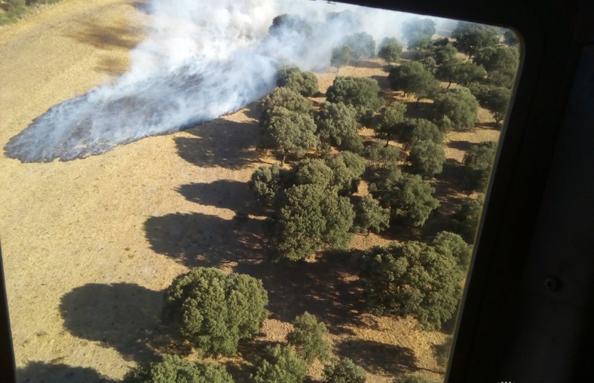 Imagen tomada desde el helicóptero que acutó en la zona. 