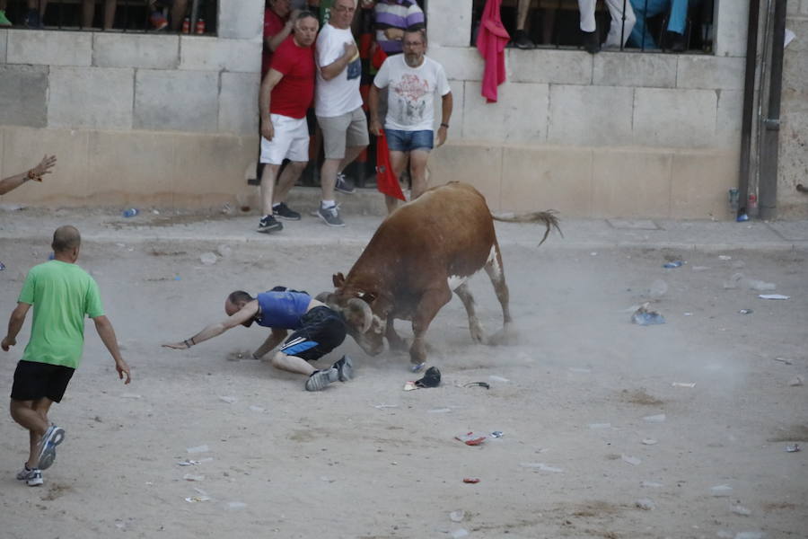 Uno de los mozos ha sufrido un varetazo por parte de uno de los novillos que han participado en la suelta de esta tarde en la localidad vallisoletana. Hoy Peñafiel celebra su patrón, San Roque