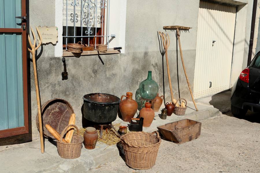 Fotos: Feria Del Pan en Cobos de Cerrato