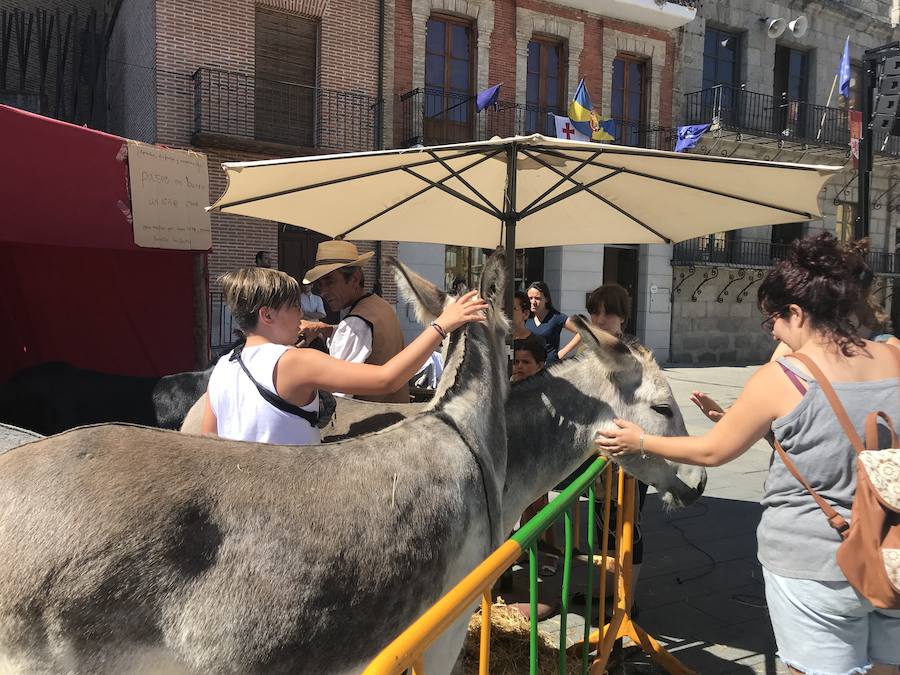 Fotos: Jornada del jueves en la Feria Renacentista Imperiales y Comuneros de Medina del Campo