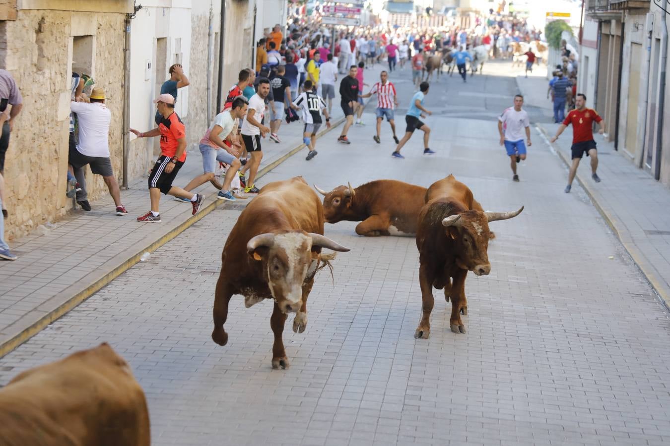 Fotos: Encierro mañanero en Peñafiel