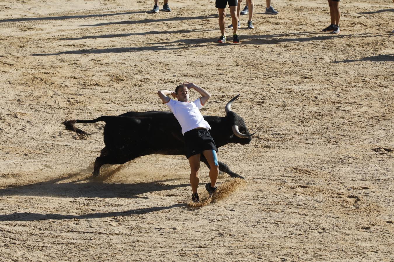 Fotos: Encierro mañanero en Peñafiel