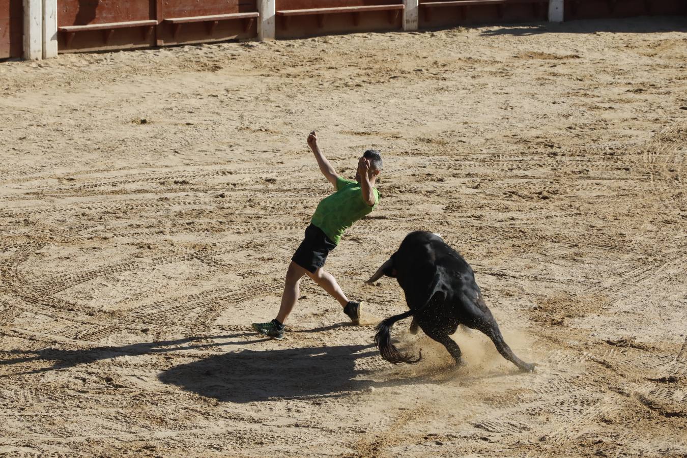 Fotos: Encierro mañanero en Peñafiel