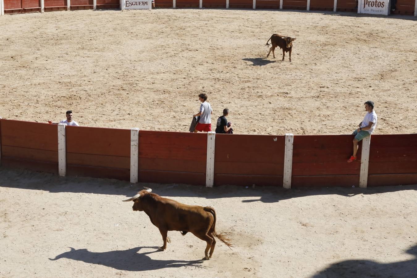 Fotos: Encierro mañanero en Peñafiel