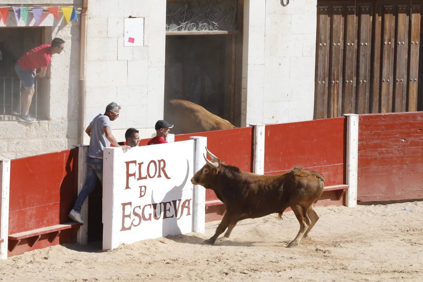 Fotos: Encierro mañanero en Peñafiel