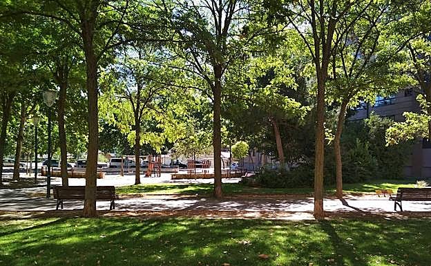 Imagen principal - Imágenes participantes en la campaña. 