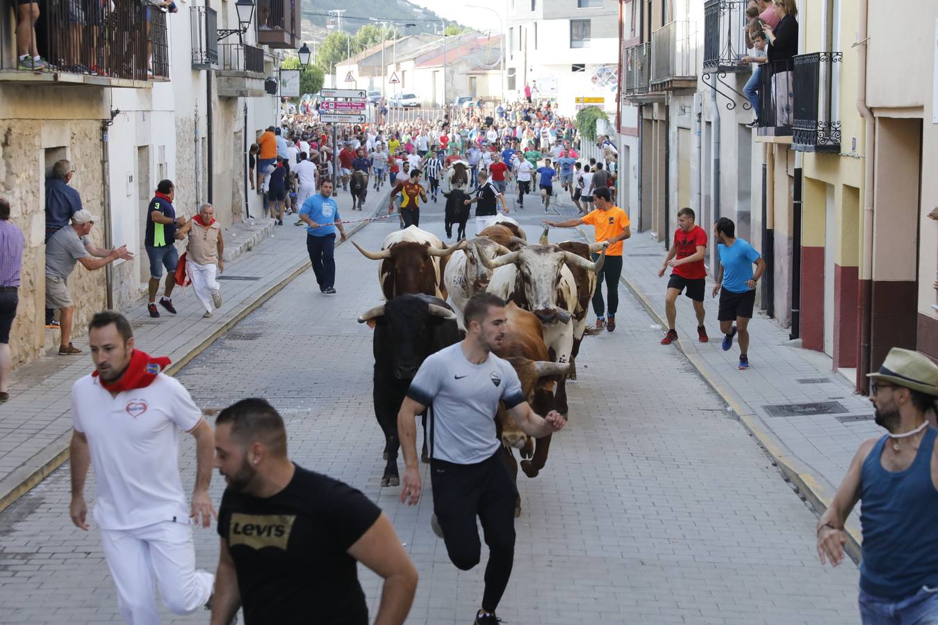 Fotos: Tercer encierro en Peñafiel