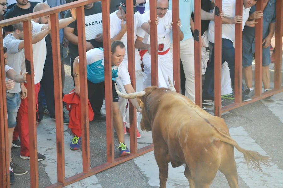 Fotos: Encierro del viernes en Tudela de Duero