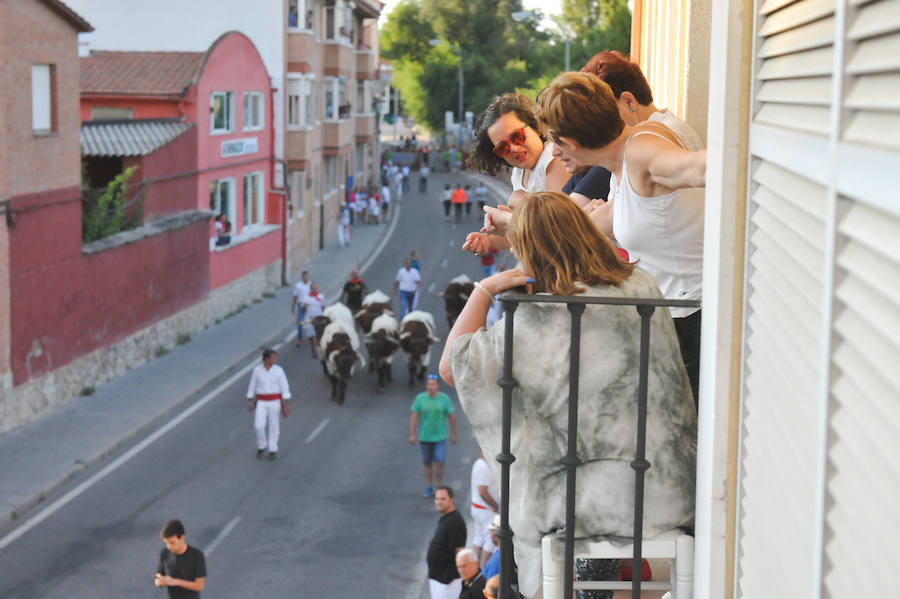 Fotos: Encierro del viernes en Tudela de Duero