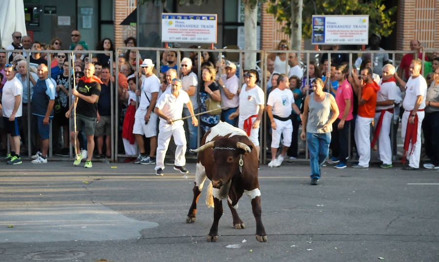 Fotos: Encierro del viernes en Tudela de Duero