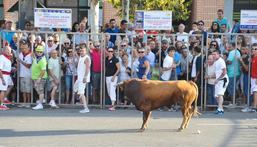 Fotos: Encierro del viernes en Tudela de Duero