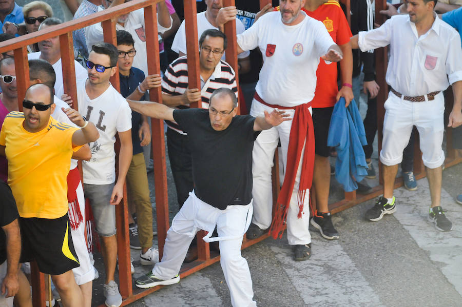 Fotos: Encierro del viernes en Tudela de Duero