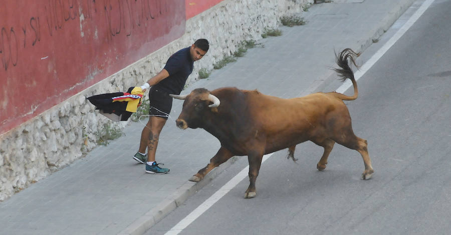 Fotos: Encierro del viernes en Tudela de Duero