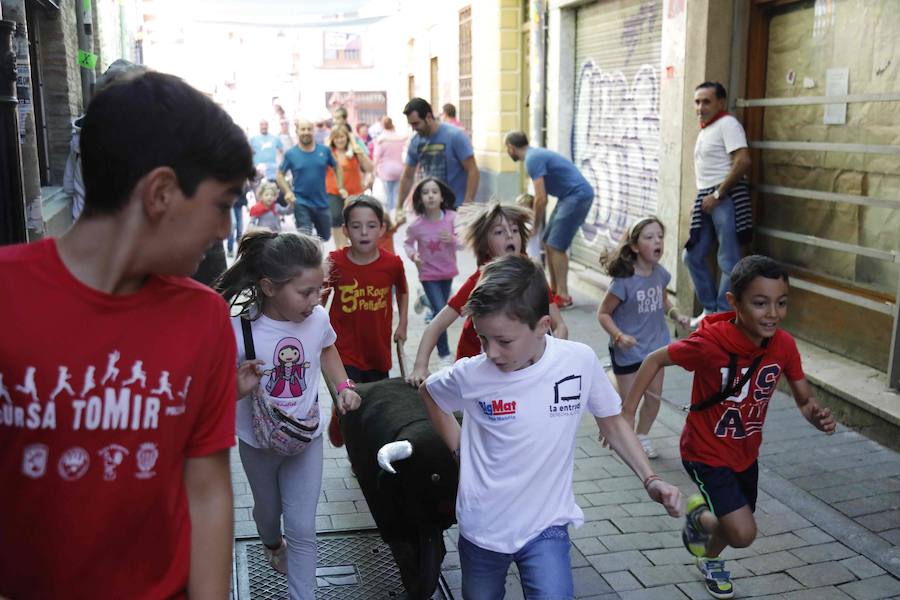 Fotos: Quinto encierro y capea de las fiestas de Peñafiel. Sábado