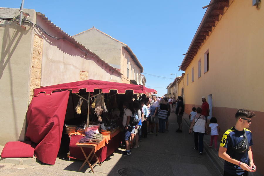 Fotos: Tordehumos celebra el Mercado artesanal de Tierra de Campos