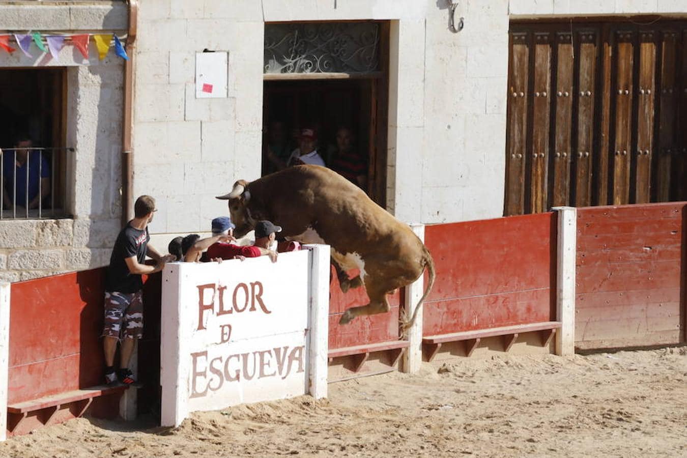 Fotos: Quinto encierro y capea de las fiestas de Peñafiel. Sábado