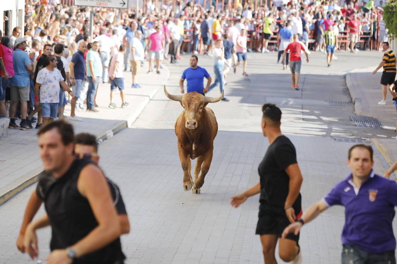 Fotos: Último encierro de las fiestas de Peñafiel