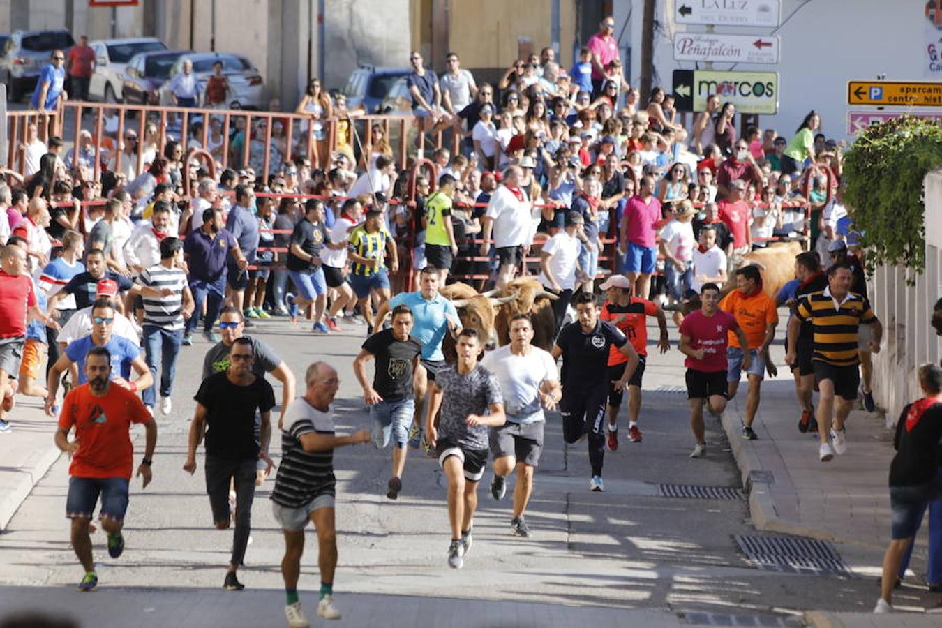 Fotos: Último encierro de las fiestas de Peñafiel