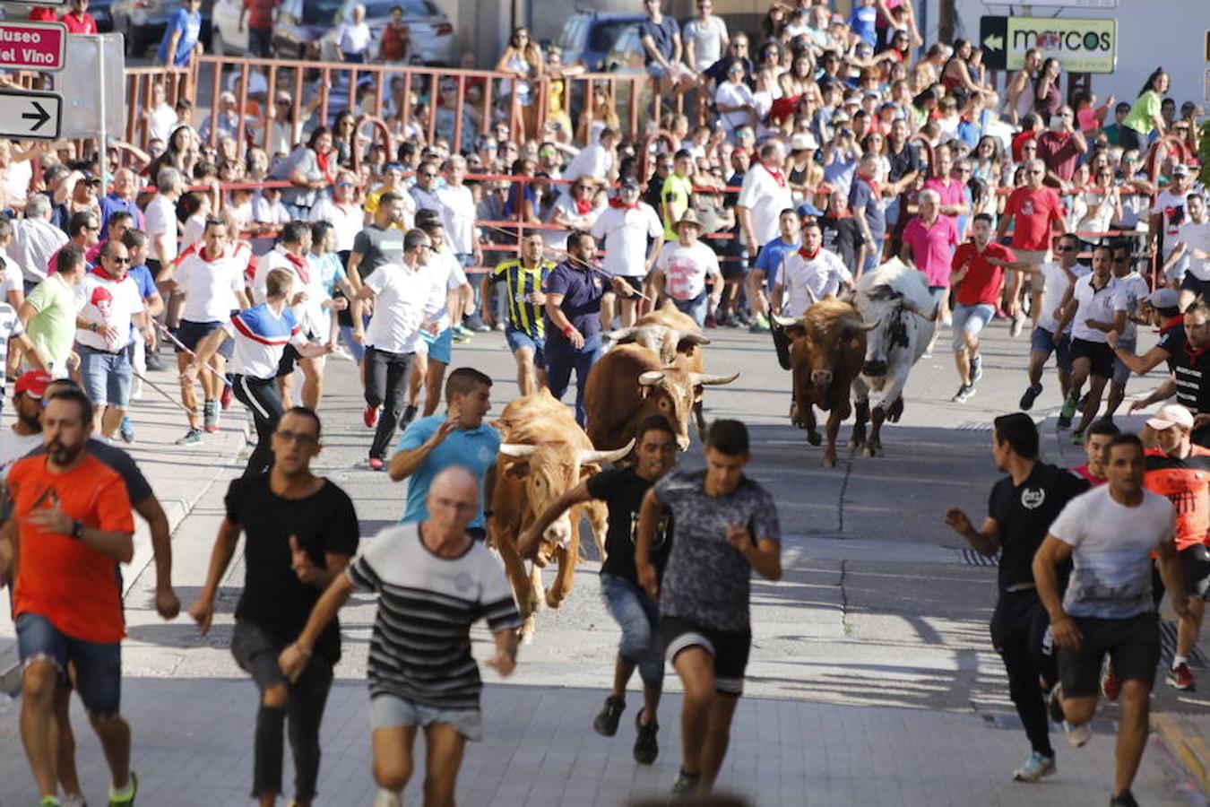 Fotos: Último encierro de las fiestas de Peñafiel