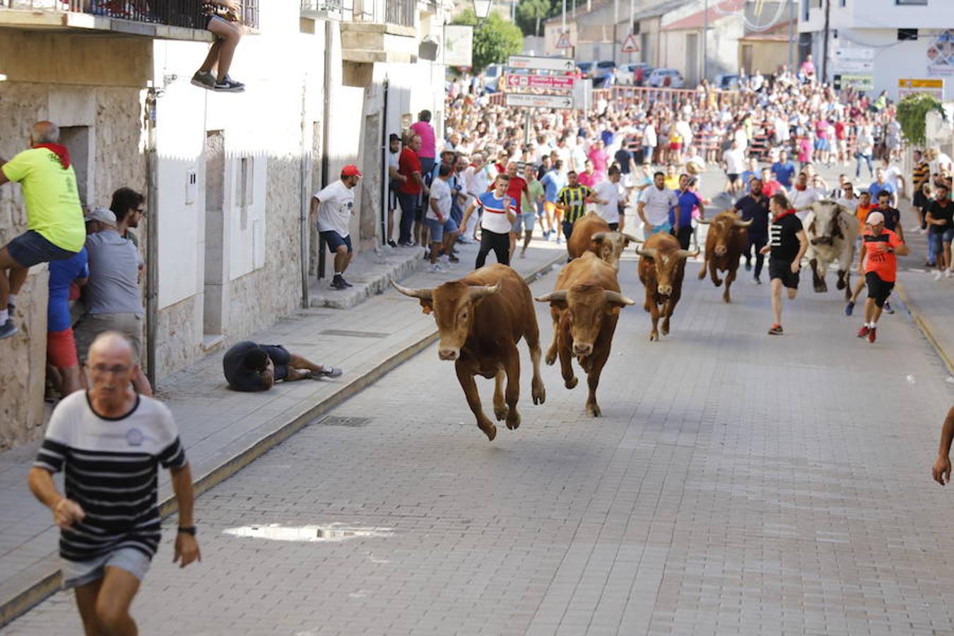 Fotos: Último encierro de las fiestas de Peñafiel