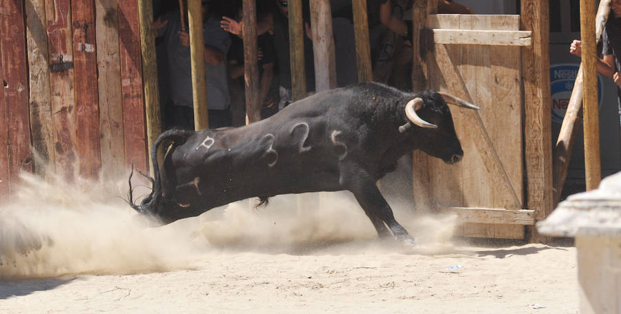 Fotos: Encierro del domingo en Serrada