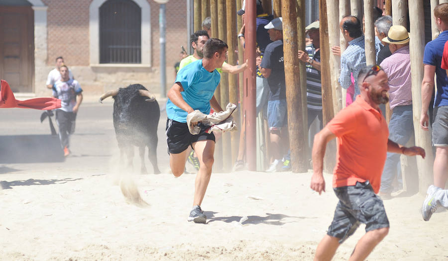 Fotos: Encierro del domingo en Serrada